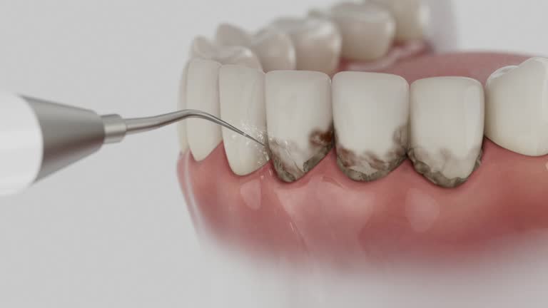 Reliable Dental contractor in Sterling, VA by Dentist Open Now